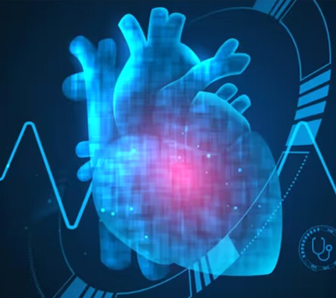 “四高”危害基因检测