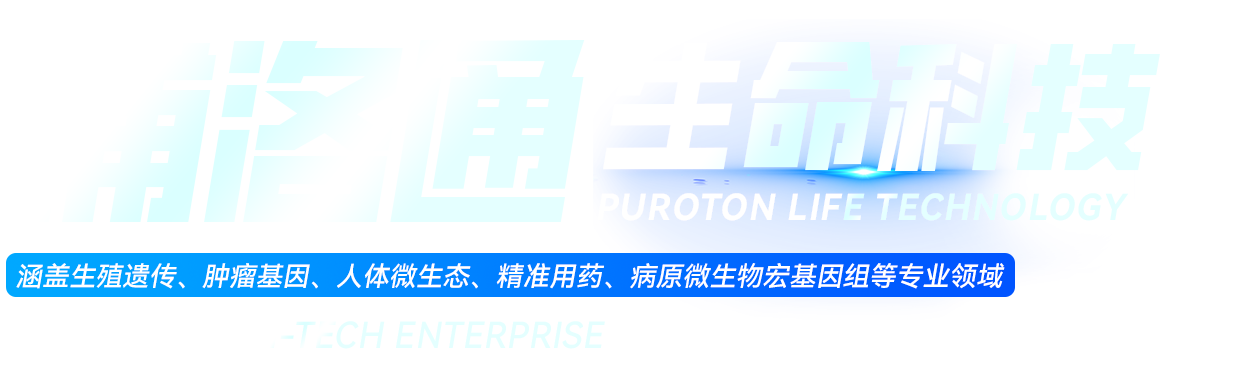 yp街机(中国)电子游戏官网