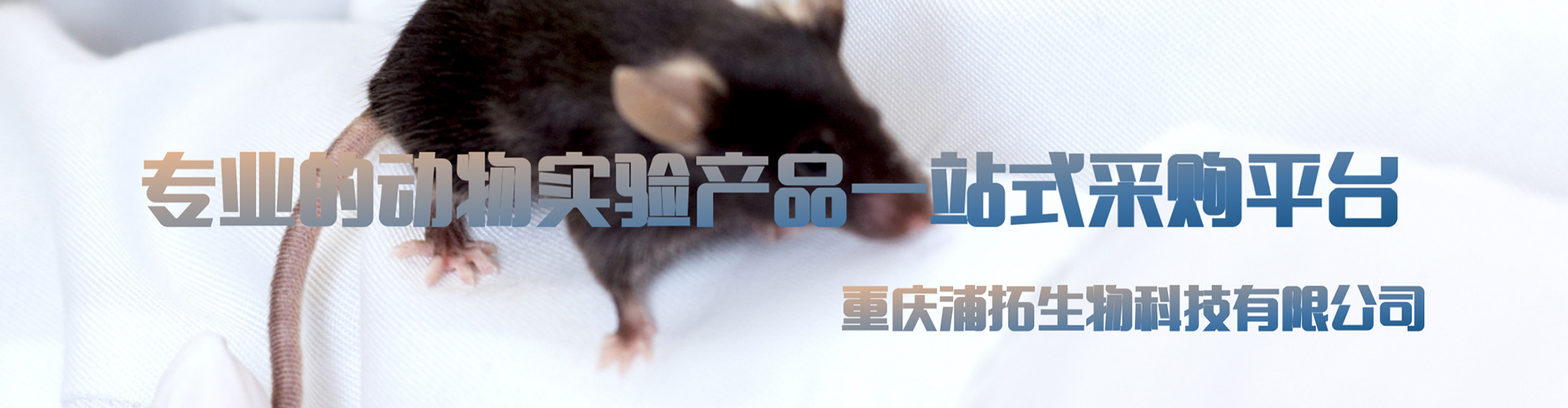 yp街机(中国)电子游戏官网